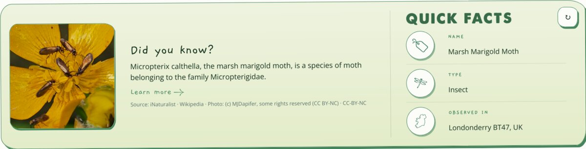 The Did You Know card, showing a live species with a photo, a fact, and quick facts